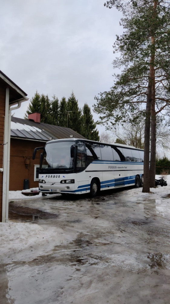 Kotipihassa.jpeg