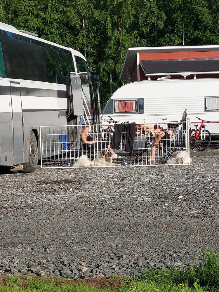 Tuommonen koiran tarhaus tuli tehtyä, Torniossa käytiin testaan viime viikon loppuna ja huomenna testaan Kalajoelle viikon lopuksi