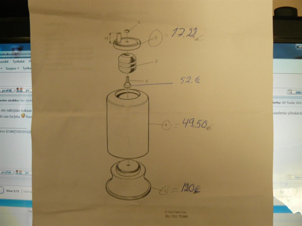 P1030604 (Large).JPG