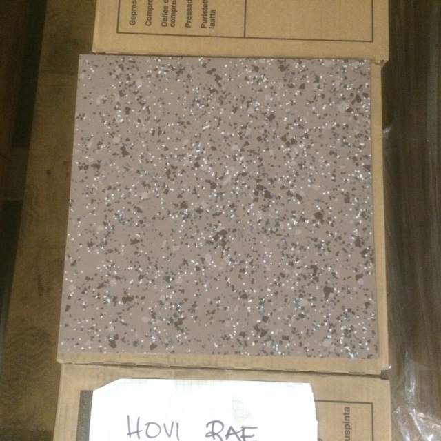 Hovi119.JPG