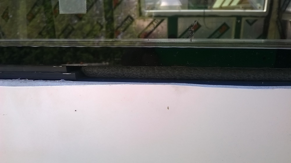 siellä sitä on... vaikkei kunnolla näykkään...