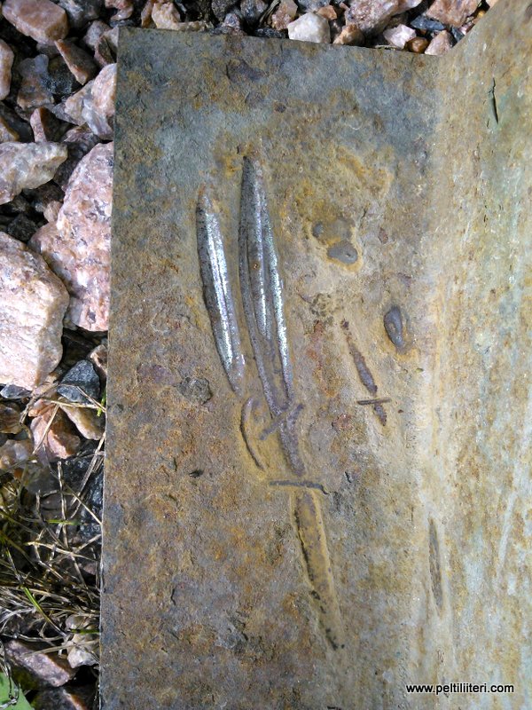 WP_001900.jpg