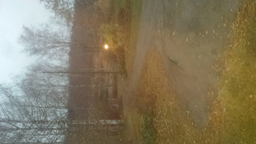 20151104_072828.jpg